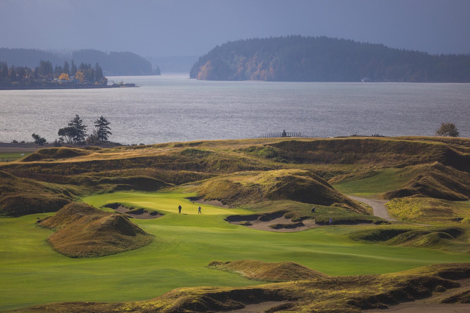 Chambers Bay Golf Course — links hole